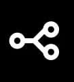 Cortex